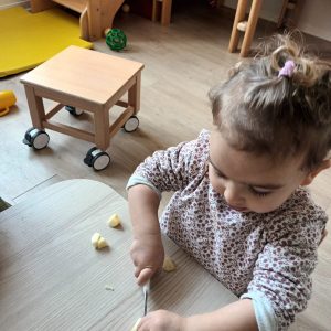 WhatsApp Image 2026-02-19 at 11.52.07